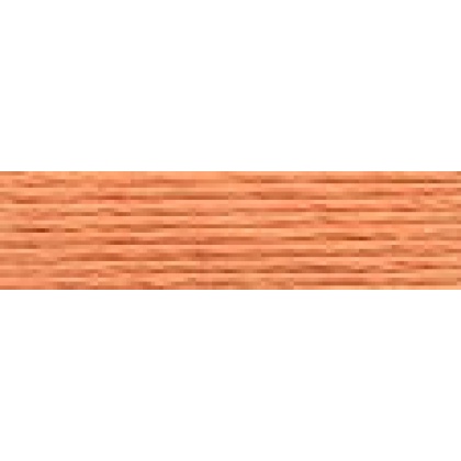 DMC 3825 Orange Spice Very Light
