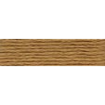 DMC 3828 Hazelnut Brown Medium