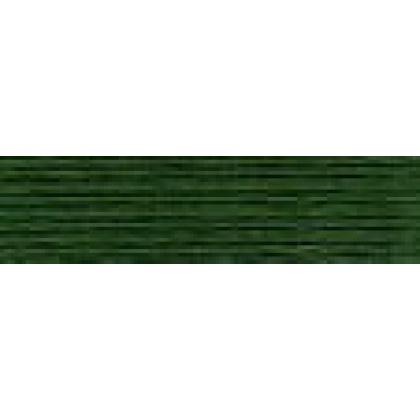 DMC 895 Hunter Green Very Dark