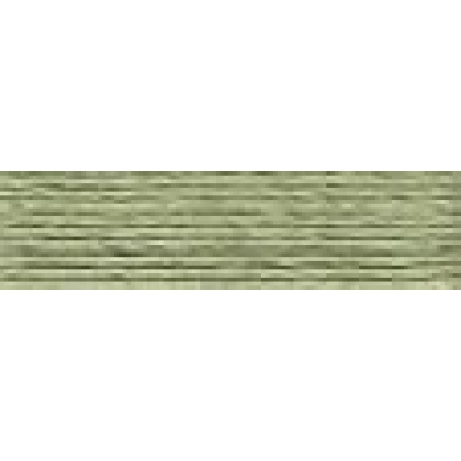 DMC 523 Fern Green Light