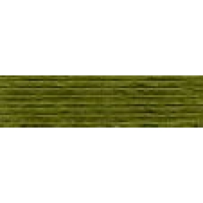 DMC 580 Sage Green Dark