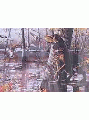 Bayou DeView Jigsaw Puzzle by Sunsout - 1000 piece *Last One*