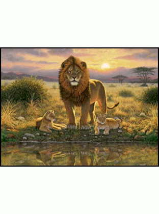 Lions Pride lion Jigsaw Puzzle by Sunsout 1000 piece *Last One*