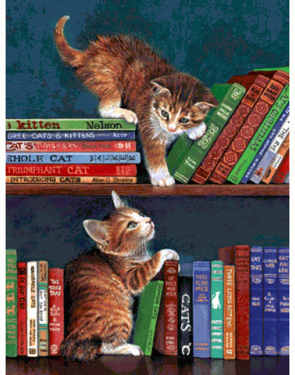 What Now? Jigsaw Puzzle By Sunsout - 500 Pieces *Last One*