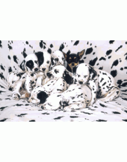 Where's Ricardo Jigsaw Puzzle By Sunsout - 1000 Piece *LAST ONE*