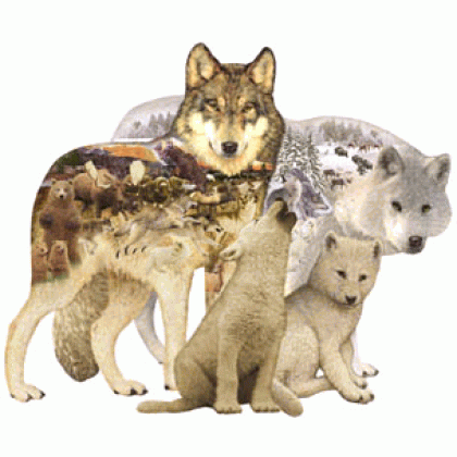 Wolf Song Jigsaw Puzzle By Sunsout - 1000 Pieces *Last One*